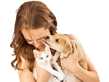 veterinary oncology in north hollywood, ca