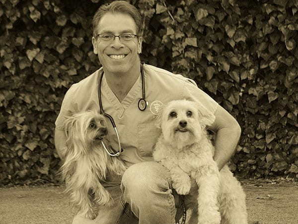 dr. peter lowenthal: our team in north hollywood, ca
